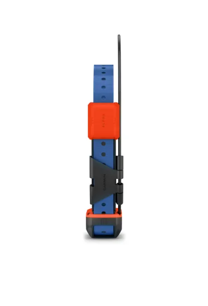 Alpha® T 20 Dog Collar