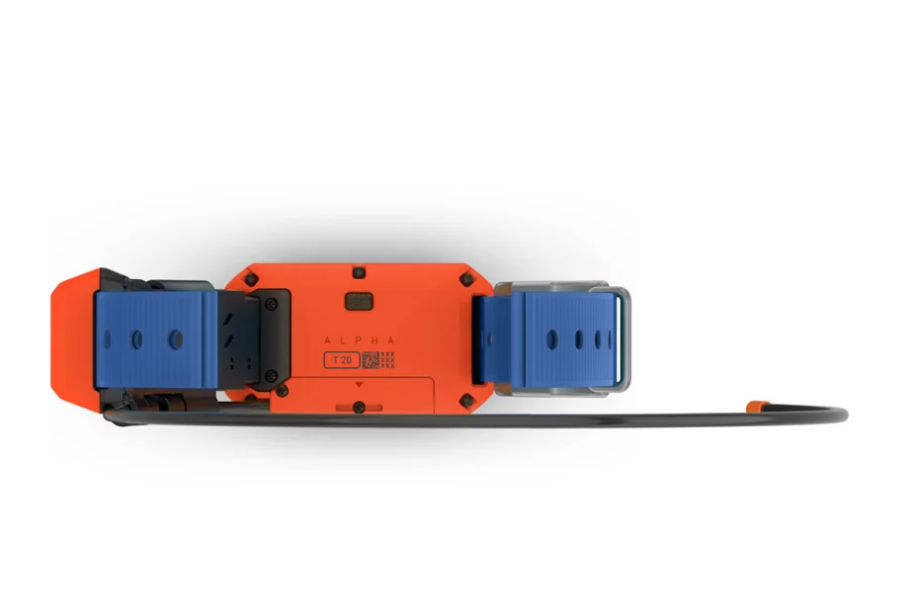 Alpha® T 20 Dog Collar