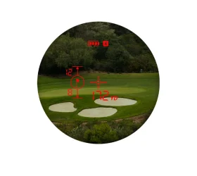 65635-3