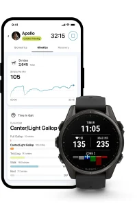 2-see-real-time-stats 2-see-real-time-stats